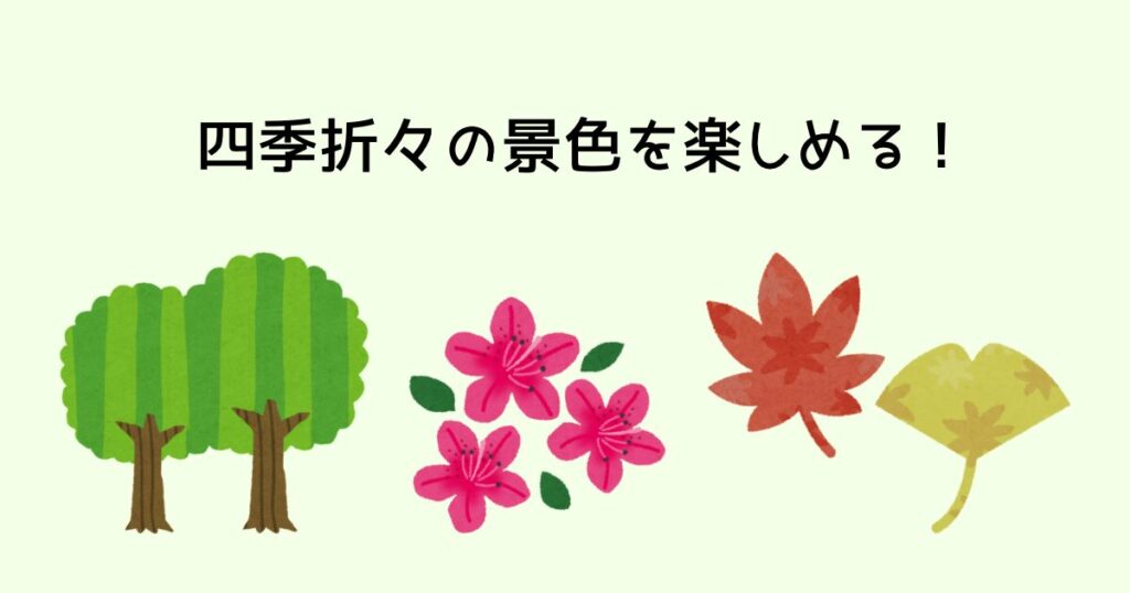 四季折々の景色が楽しめる!