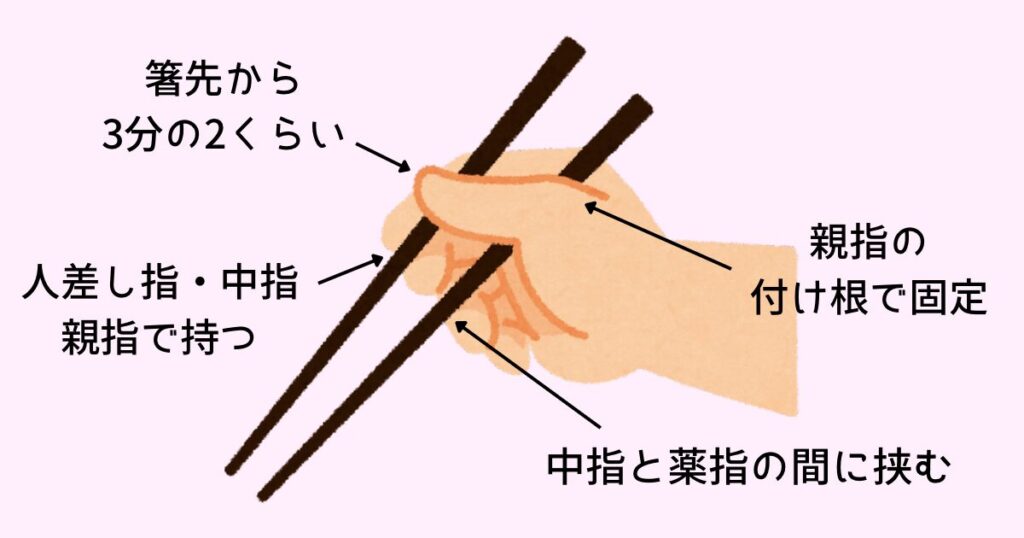 お箸の基本的な持ち方