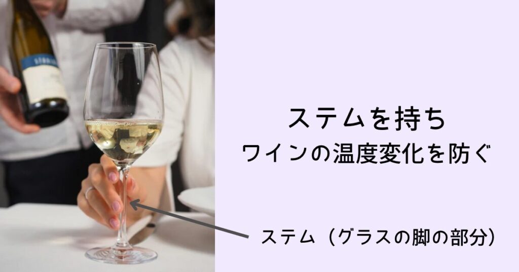グラスはステム(脚の部分)を持ち、ワインの温度変化を防ぐ